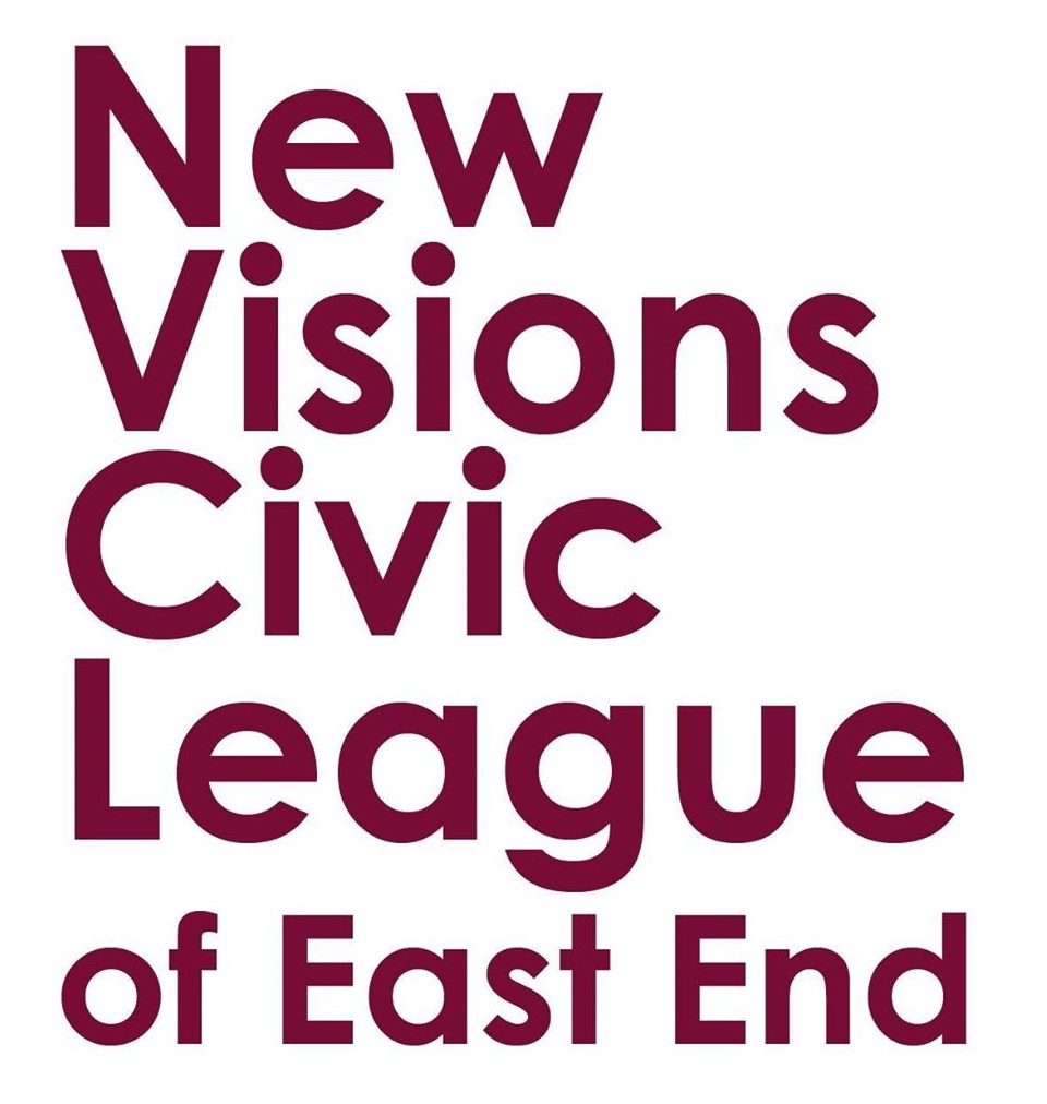 New Visions Civic League